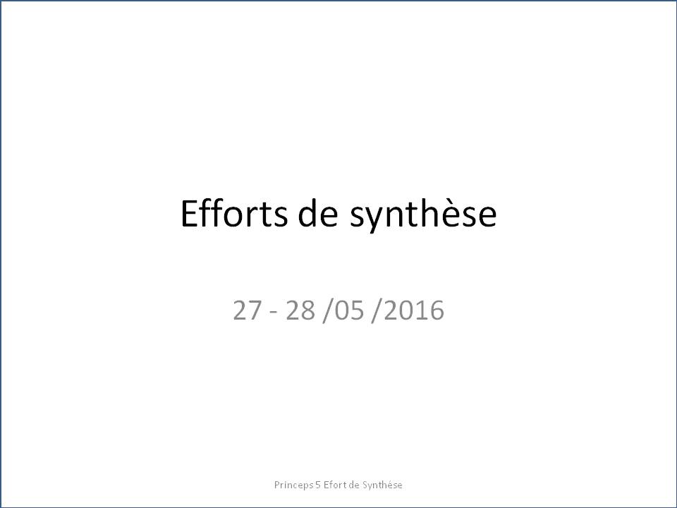 efforts-de-synthese-colloque-5-vd